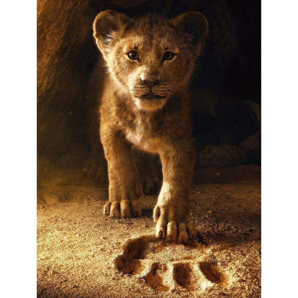 Custom Fridge Magnet Simba The Lion King Home Kitchen Decor